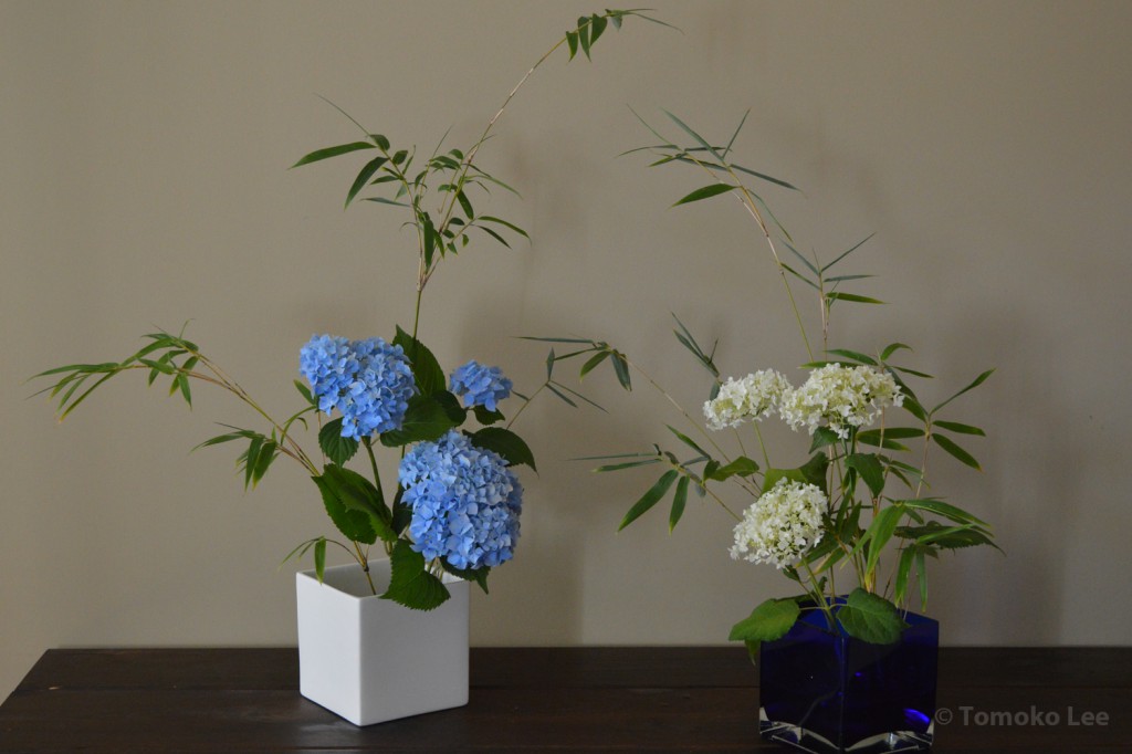 arrange_130606_hydrangeas_wm