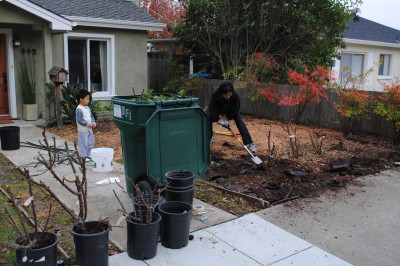 landscape_frontyard_110108_nowm