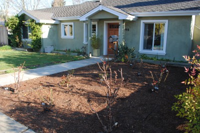 landscape_frontyard_110212_nowm