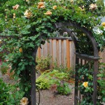 rose_arbor_03_wm